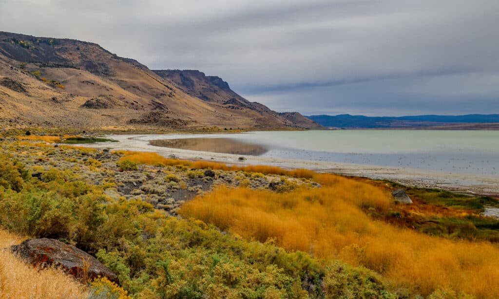 Lago Abert nell'Oregon