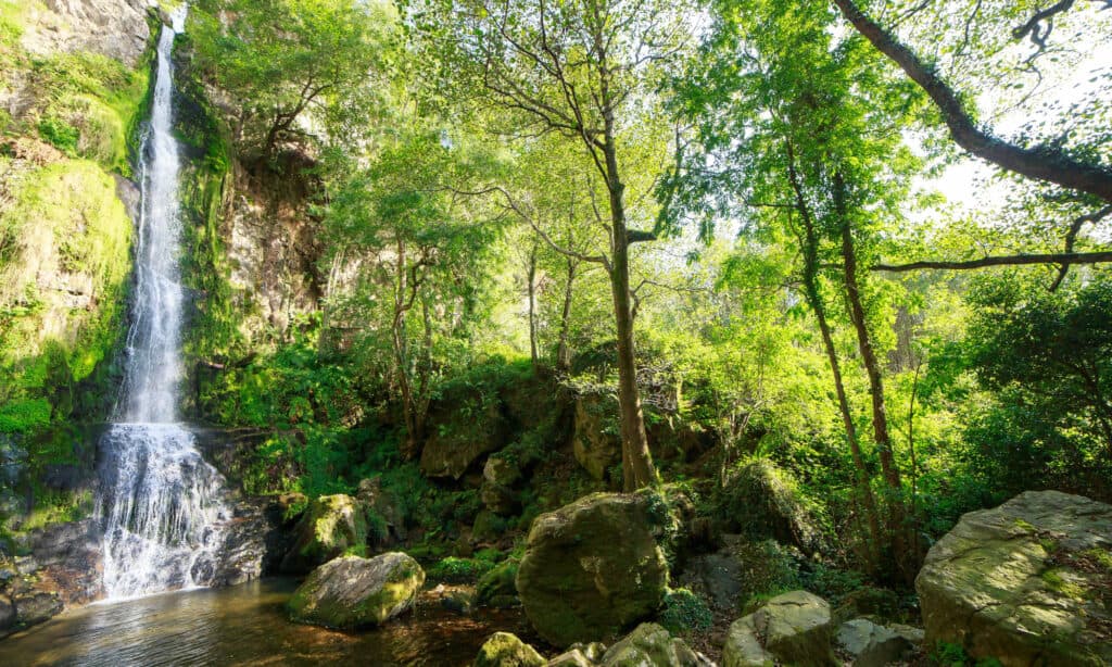 cascate oneta