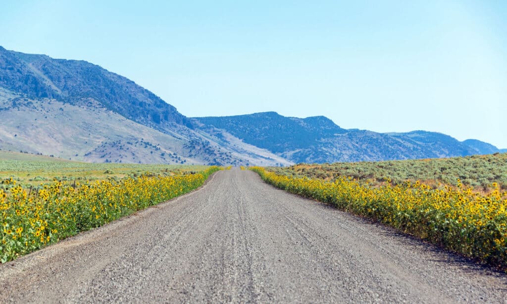 Montagna di Steens nell'Oregon