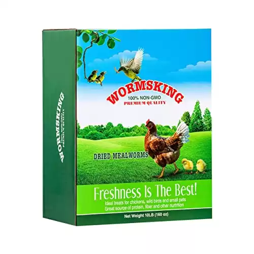 WORMSKING Vermi della farina essiccati 100% non OGM, vermi della farina ad alto contenuto proteico