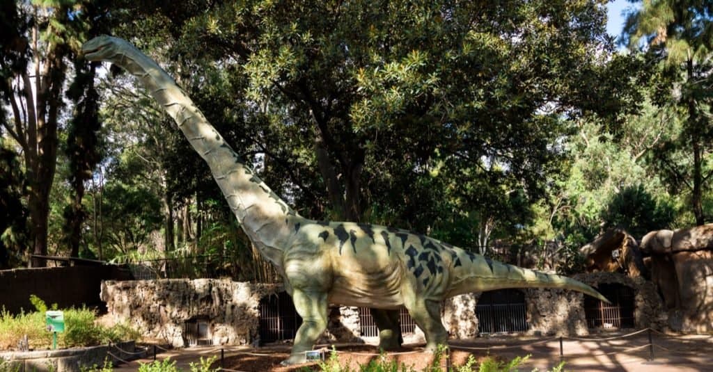 Il più grande animale che abbia mai camminato sulla terra: l'argentinosauro