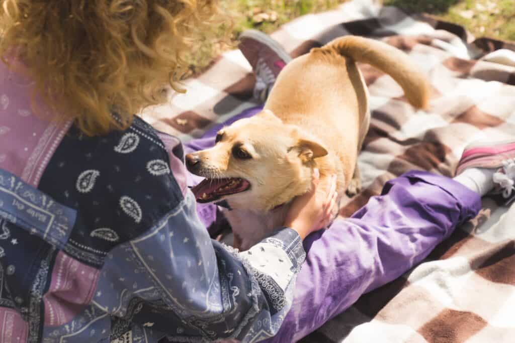 cane che scodinzola