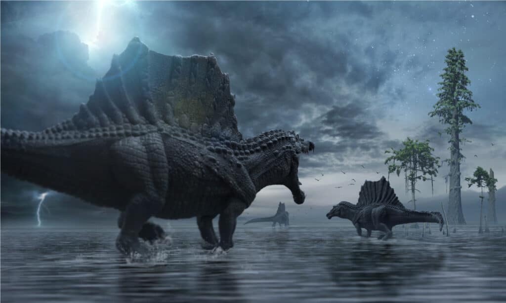 Gruppo Spinosaurus