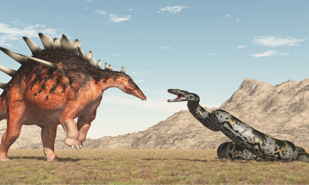 La balenottera azzurra contro i dinosauri