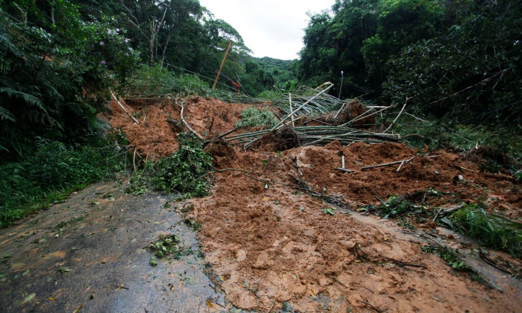 Frana e alberi che bloccano una strada