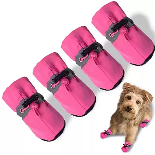 Scarpe per cani TEOZZO