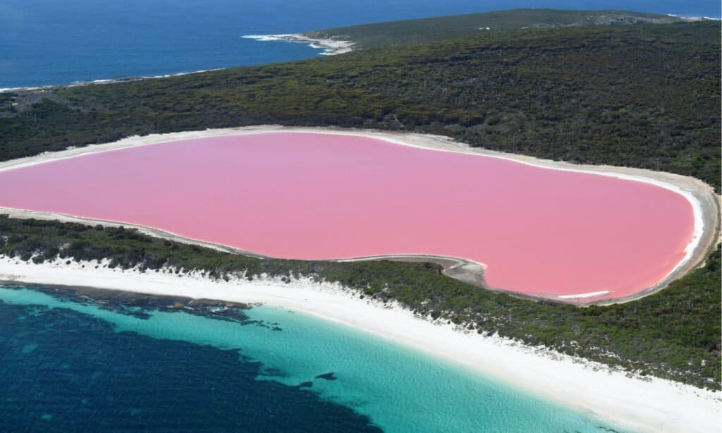 Lago Hiller
