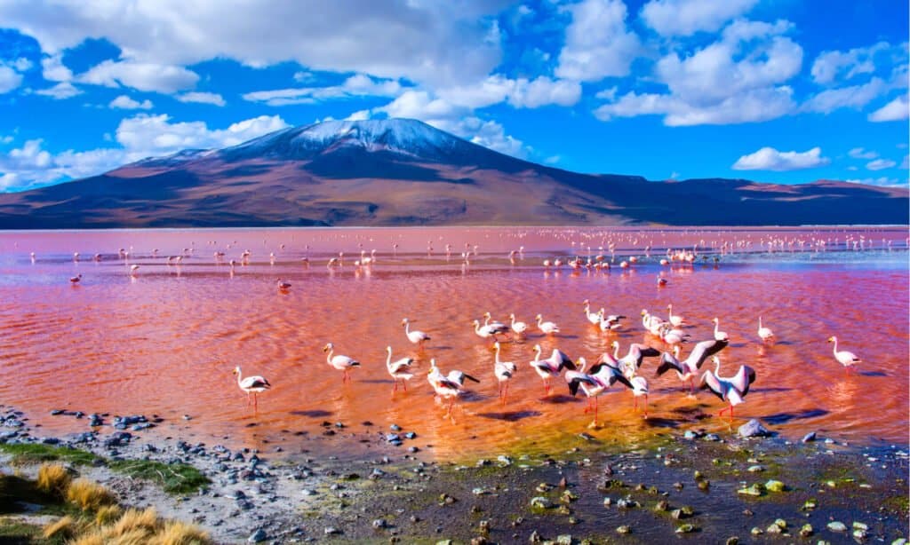Laguna Rossa