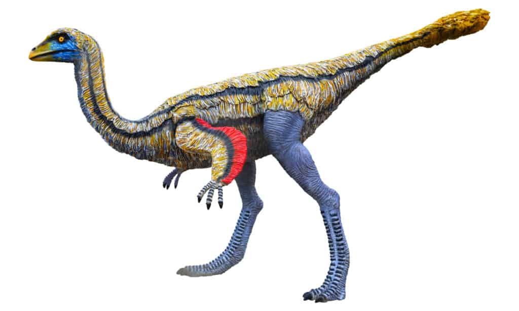 Ornithomimus 3D illustrazione su sfondo bianco