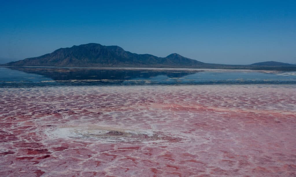 Lago Natron