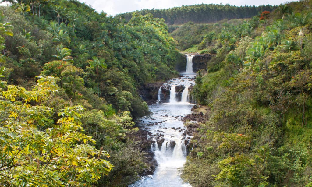 Umauma cade alle Hawaii