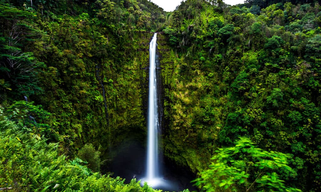Clear Falls Hawaii