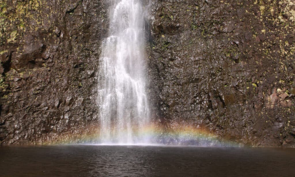 Wai'ilikahi cade Hawaii