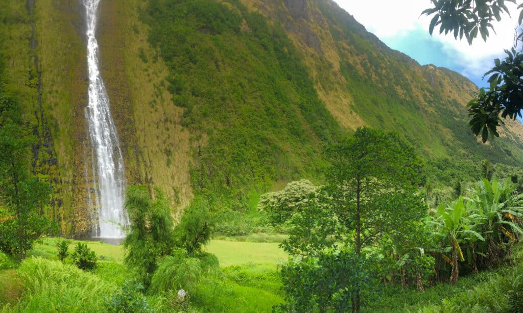 Panorama della cascata alle Hawaii - North Kohala