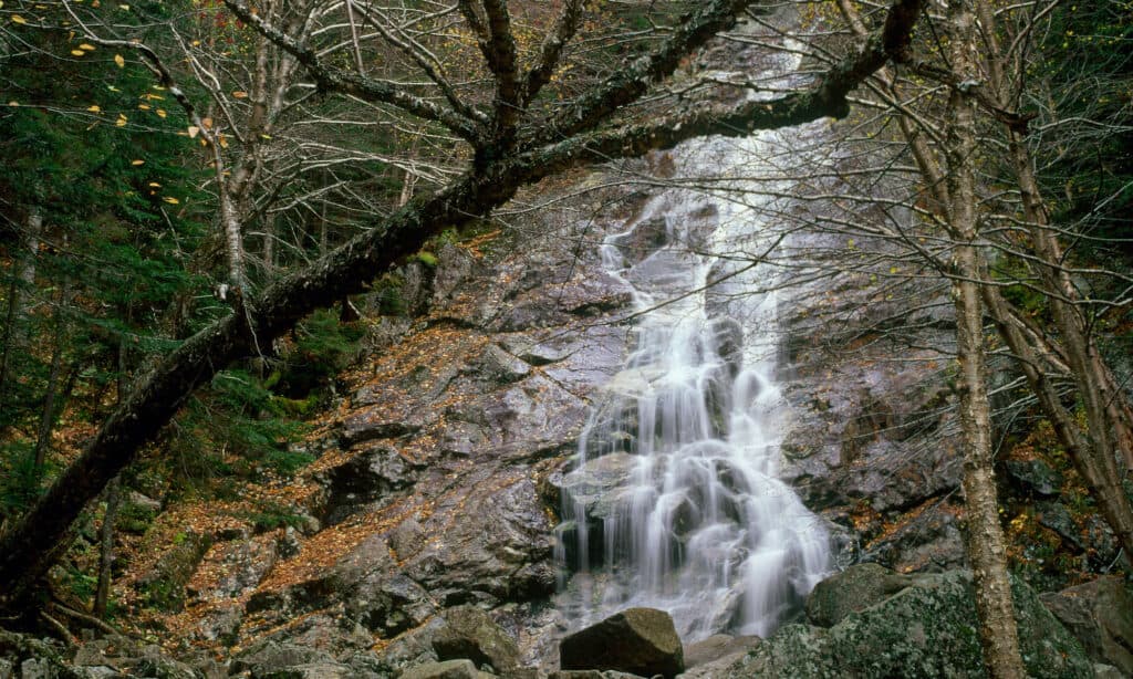 Nancy Cascate New Hampshire