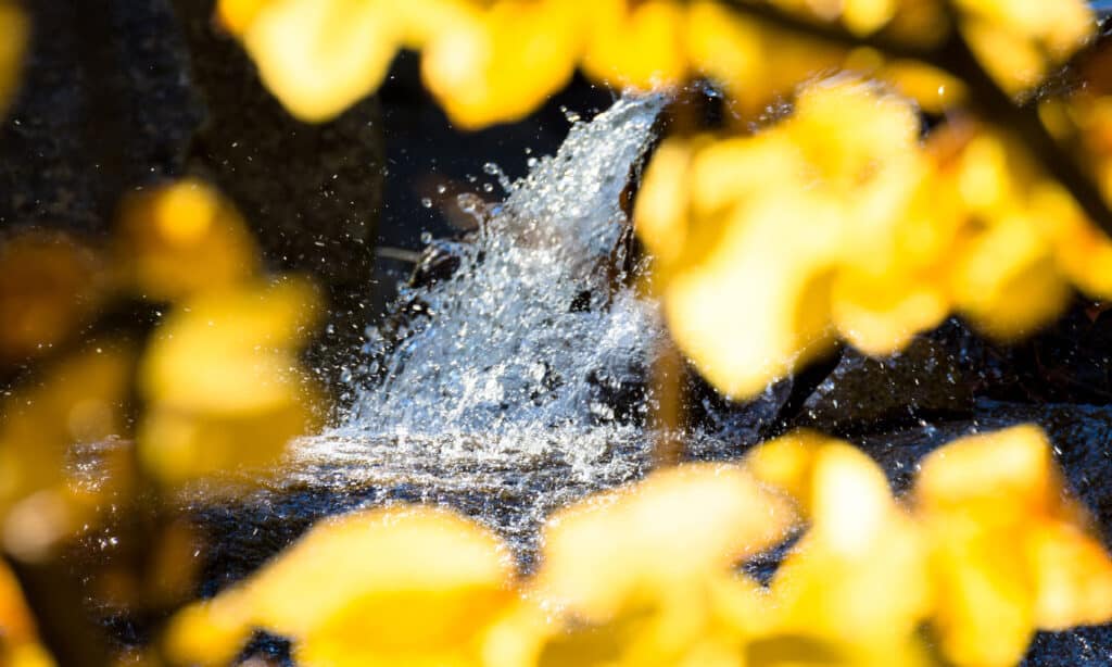 Bagni di Diana nel New Hampshire