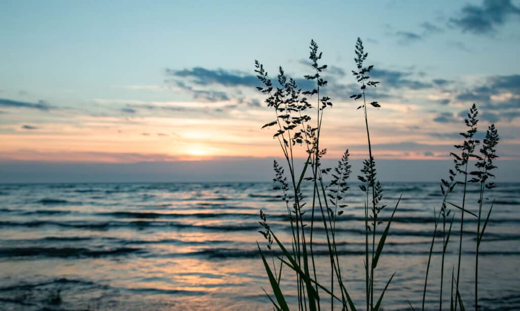 Lago Peipus in Estonia