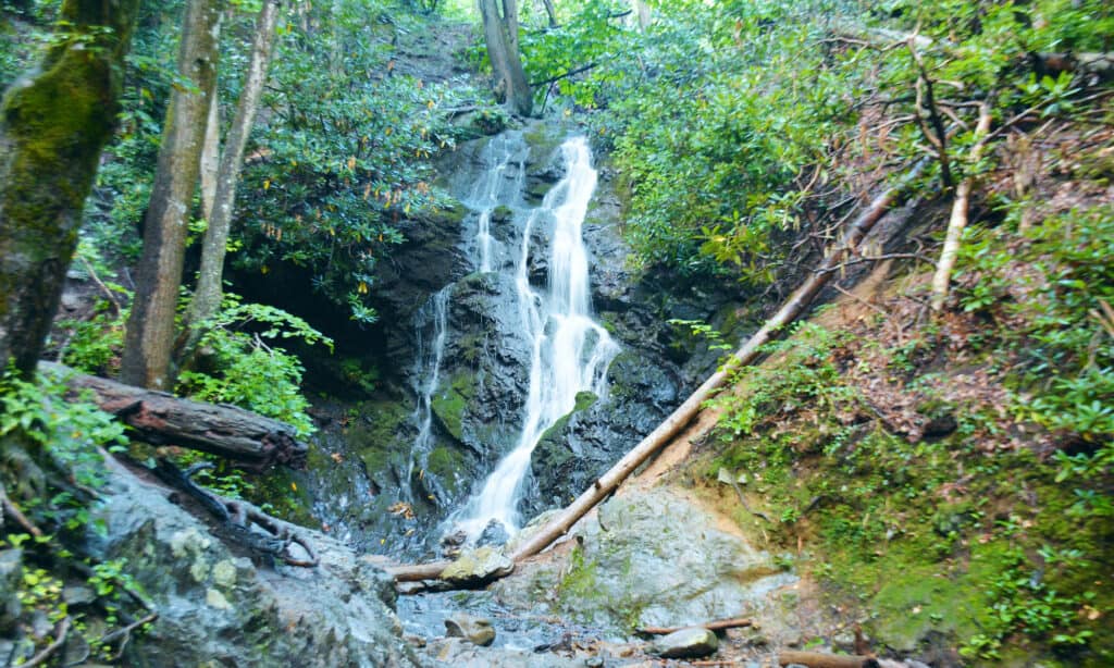 La cataratta cade nel Tennessee