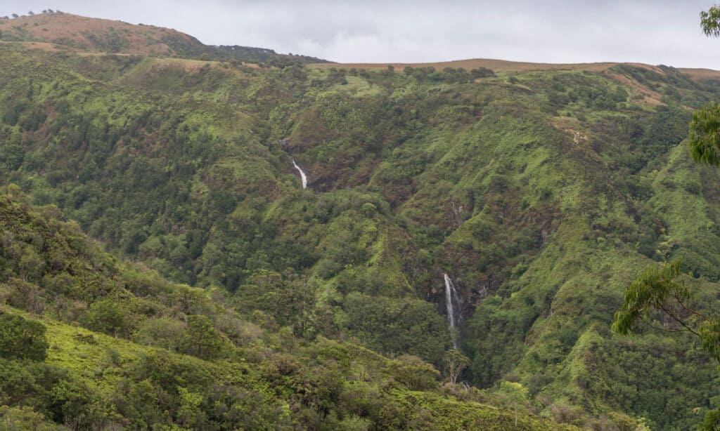 Makamaka'ole cade Maui, Hawaii