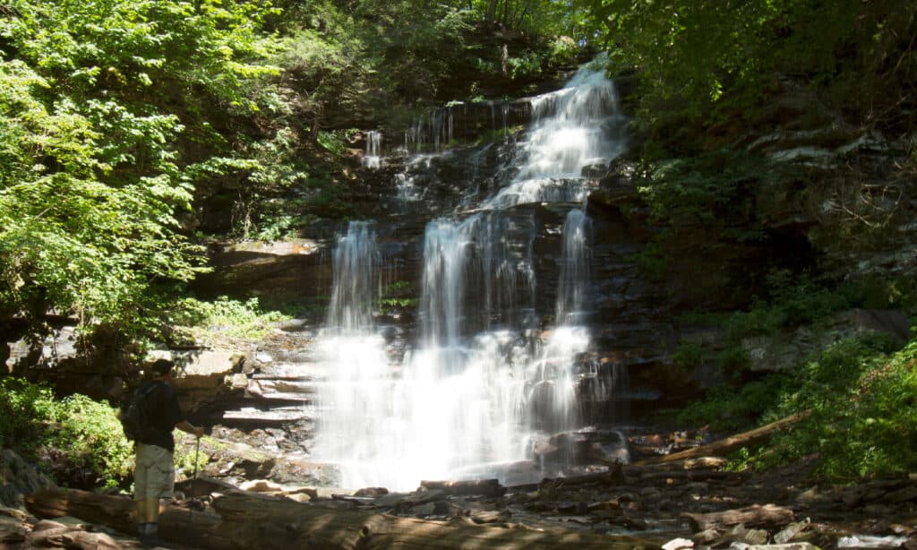 Ganoga cade in Pennsylvania