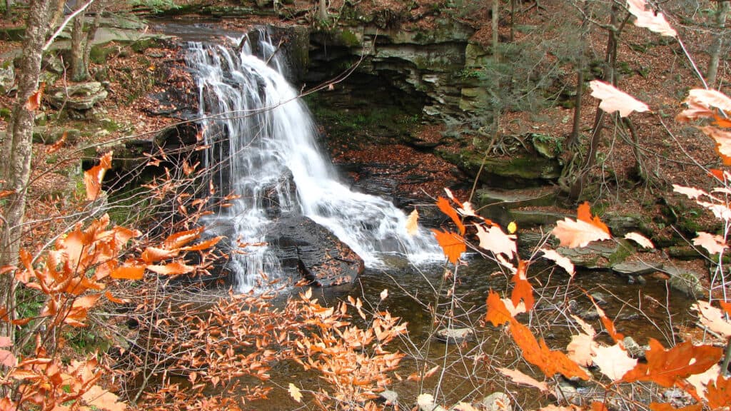 Cascate a secco