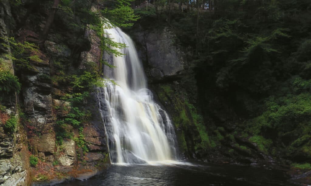 Bushkill cade Pennsylvania