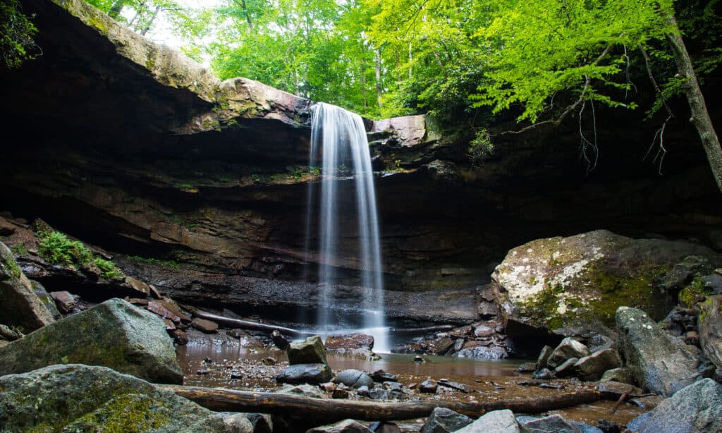 Il cetriolo cade in Pennsylvania