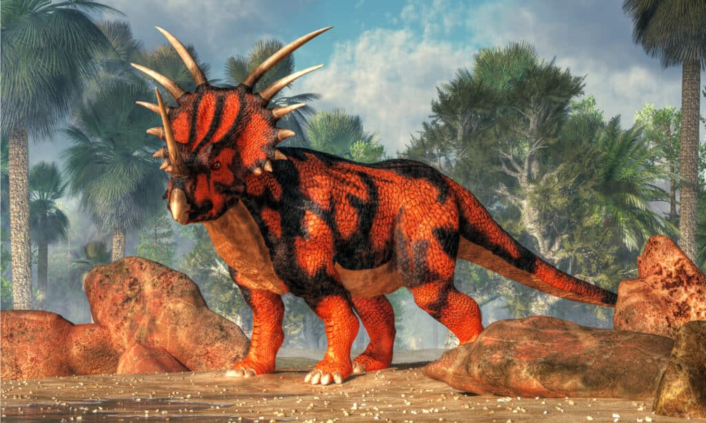Styracosaurus nella foresta