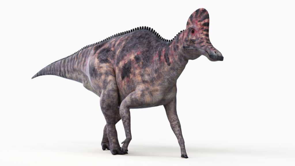 3d ha reso l'illustrazione di un corythosaurus