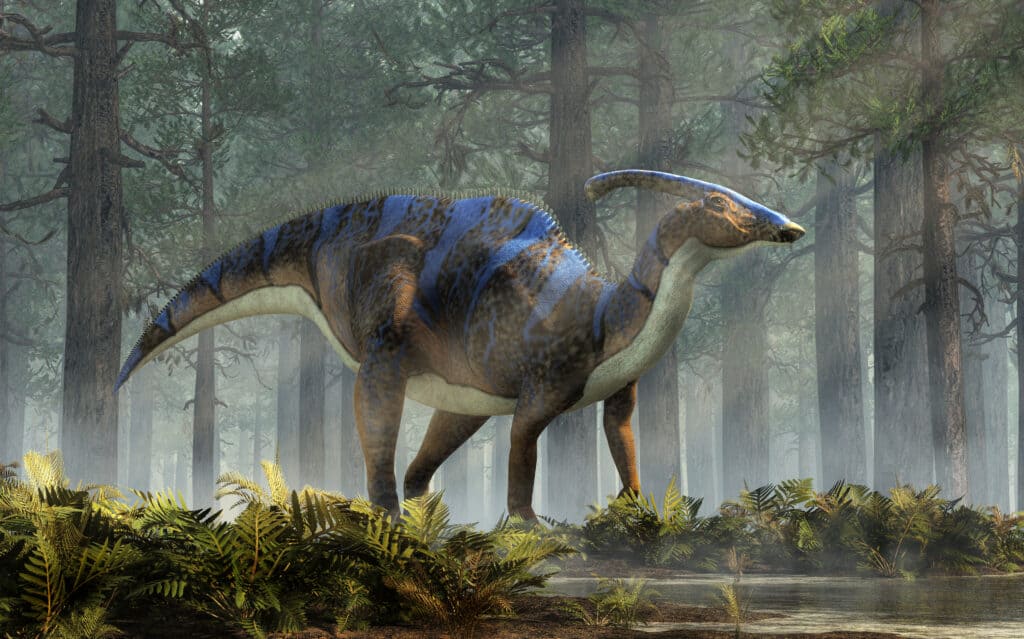 La cresta di Parasaurolophus è ancora oggi oggetto di dibattito tra gli scienziati