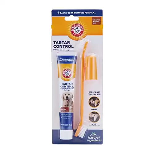Arm & Hammer for Pets Kit di controllo del tartaro per cani