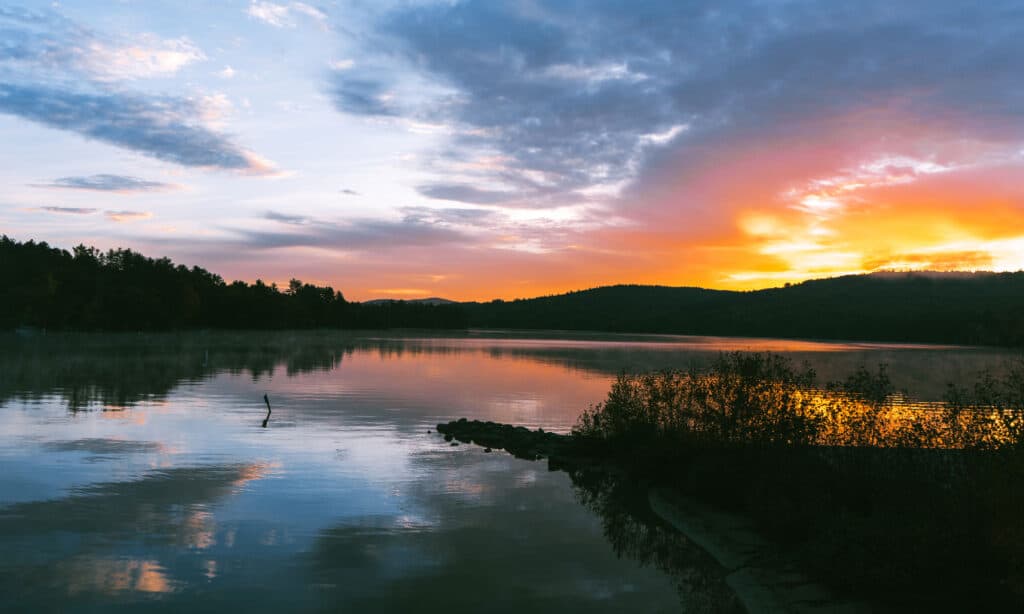 Lago squamoso