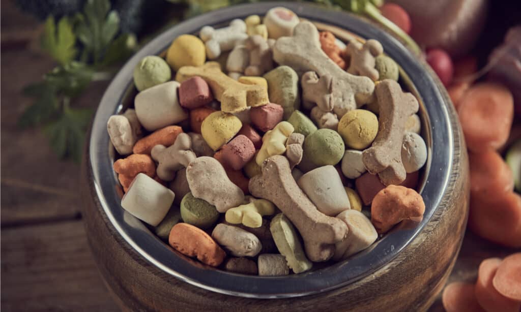 Cibo per animali domestici giusto