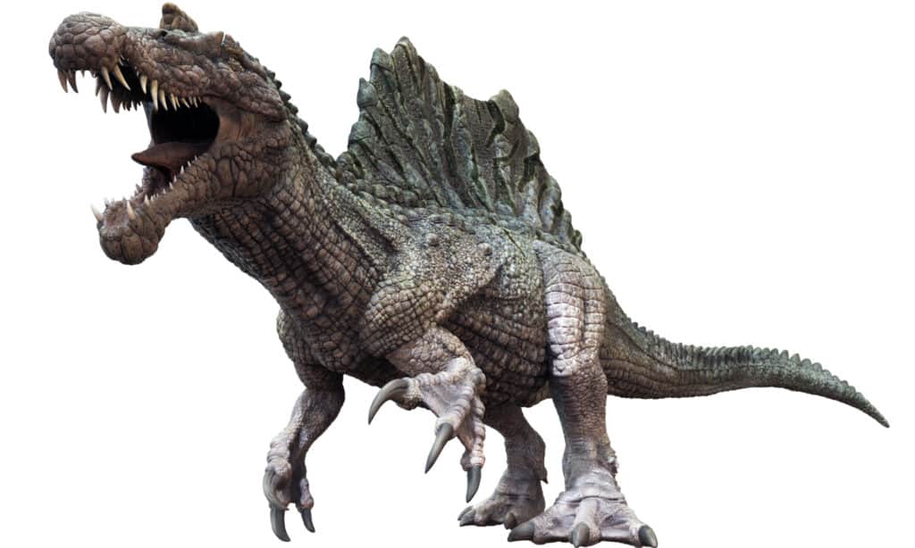 Spinosaurus ruggente