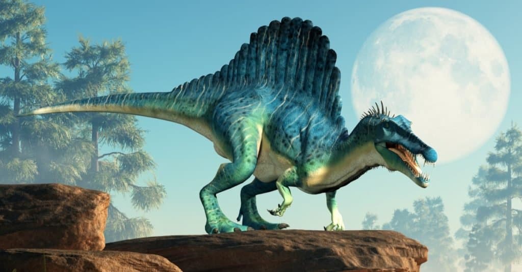 Quanto tempo sono stati i dinosauri sulla terra