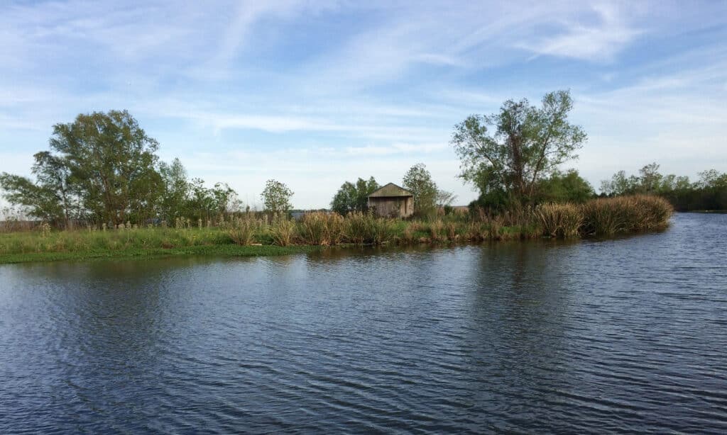Lago dei tedeschi Louisiana