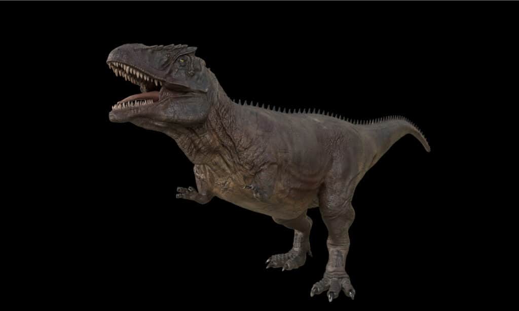 Giganotosauro
