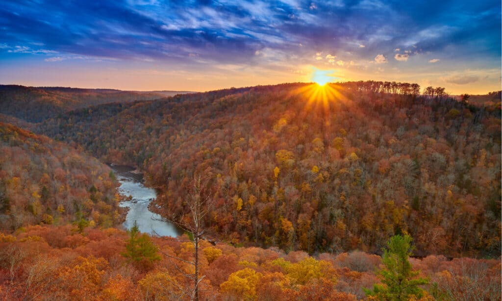 parchi nazionali nel tennessee