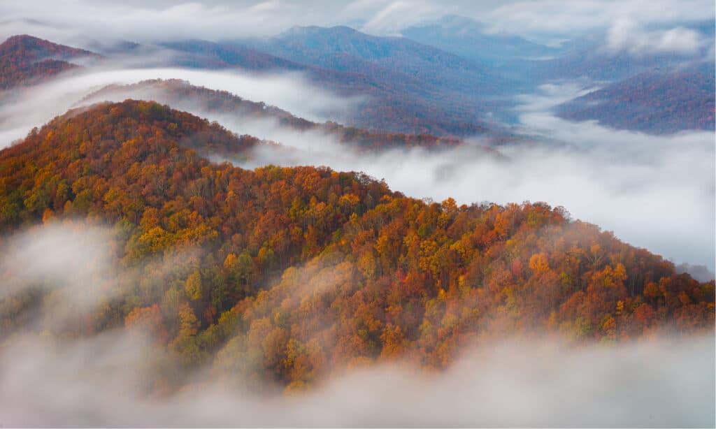 parchi nazionali nel tennessee