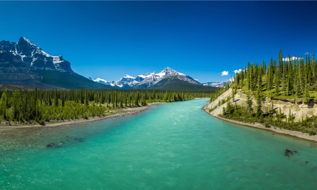 Fiume Saskatchewan