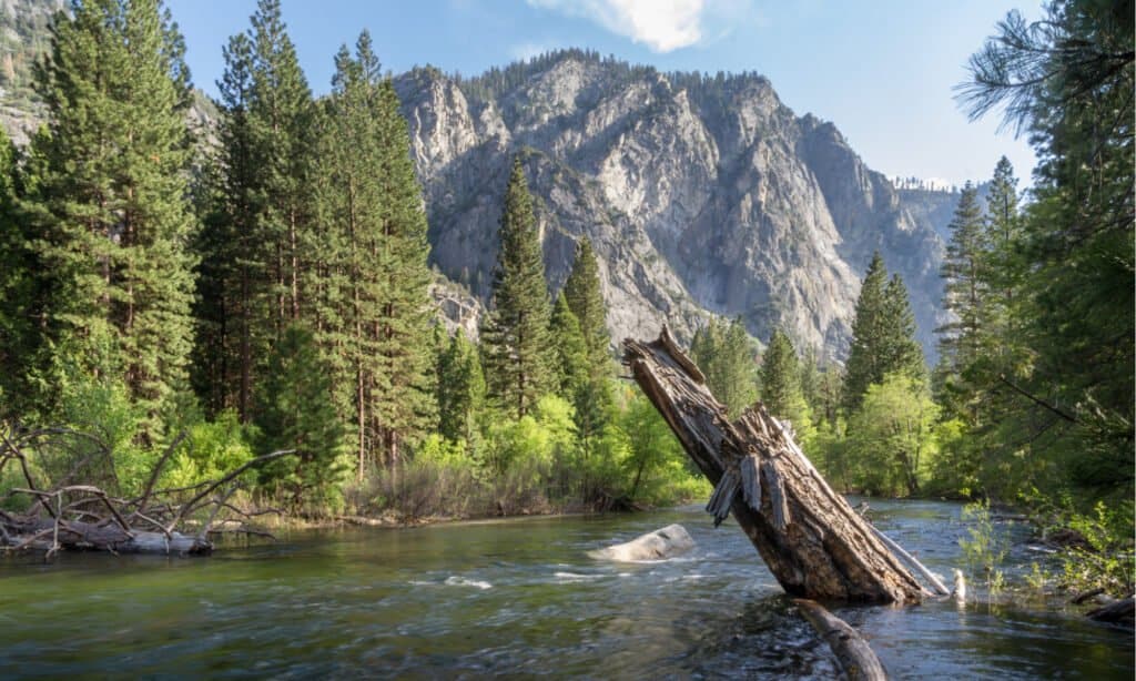 I migliori parchi nazionali da visitare a luglio - King's Canyon National Park