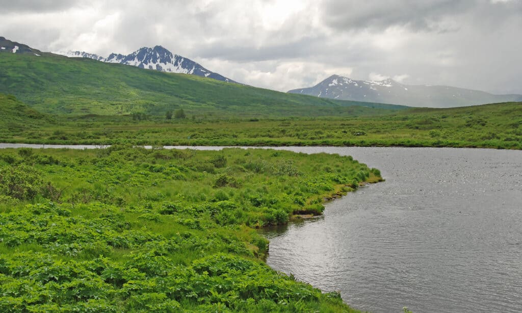 Isola di Kodiak
