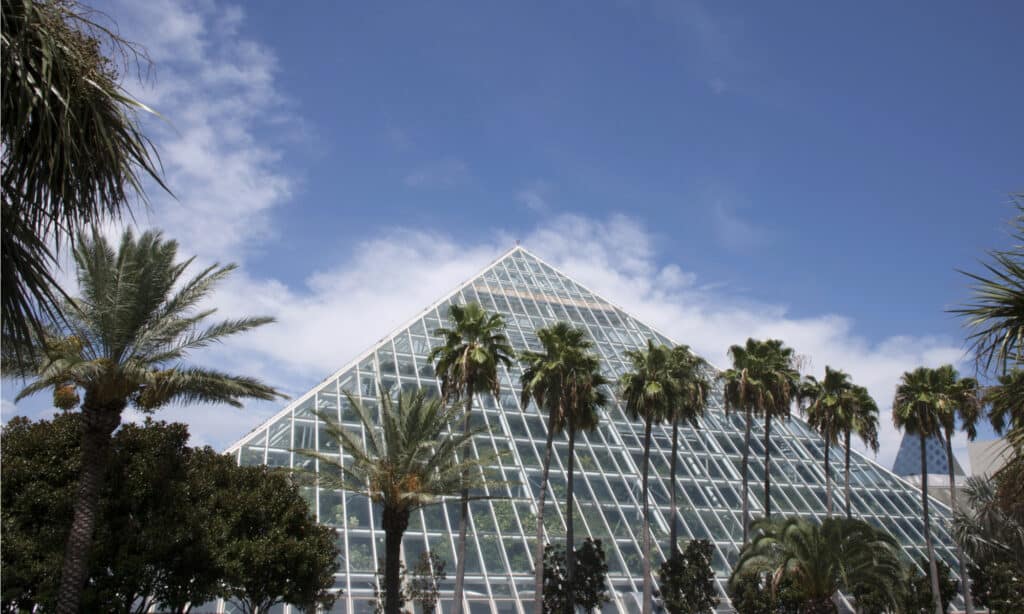 Moody Gardens Piramide della foresta pluviale