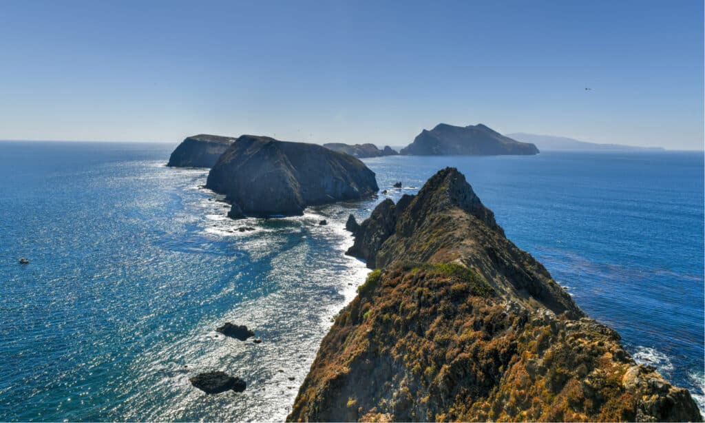 Parco nazionale delle Isole del Canale - Isola di Anacapa