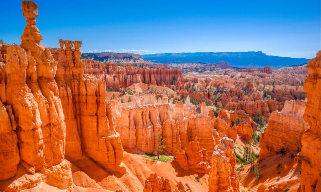 Parco Nazionale del Bryce Canyon