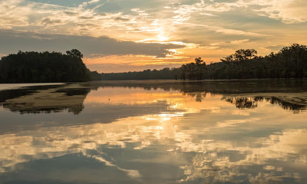 Smith Lago Alabama