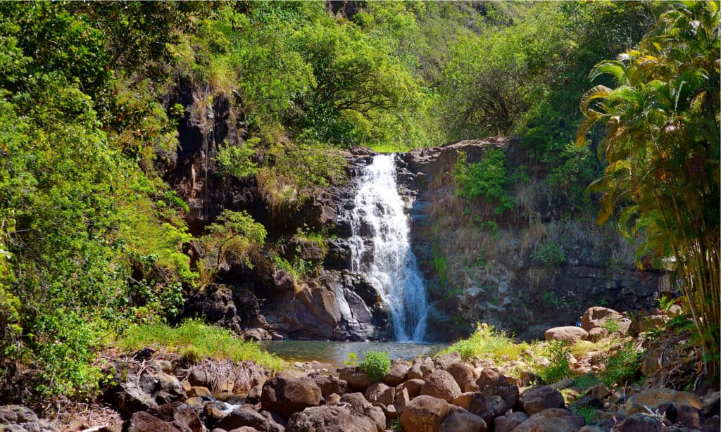 Cascate di Waimea