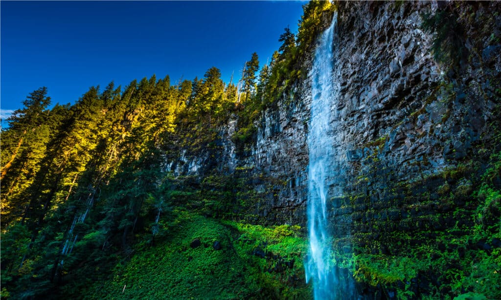 Cascate Watson