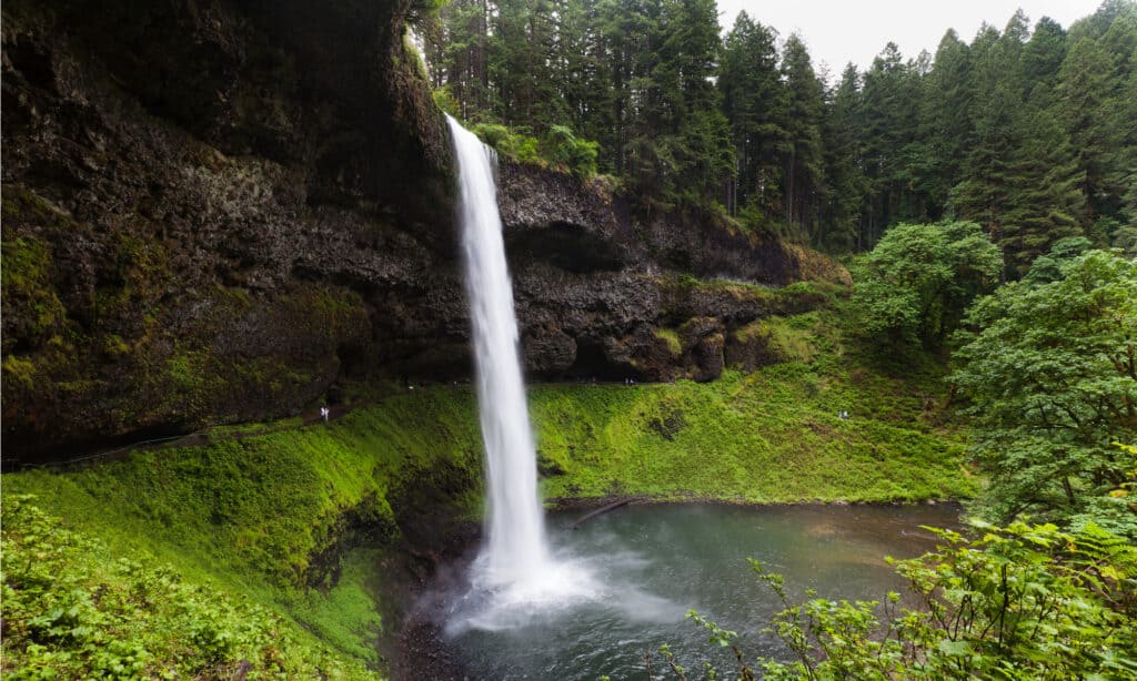 Cascate del sud, Silver Falls State Park