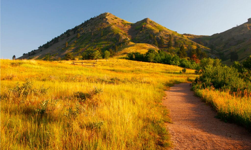 Parco statale Bear Butte